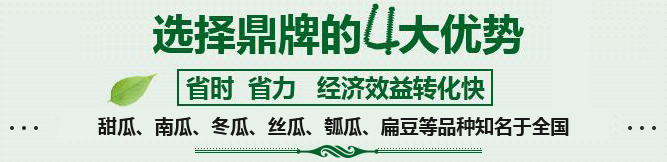 購(gòu)買(mǎi)蔬菜種子，選擇鼎牌的四大優(yōu)勢(shì)