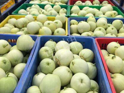 蔬菜種子種植戶(hù)客戶(hù)點(diǎn)評(píng)-5元1斤，這個(gè)新品種真香甜！