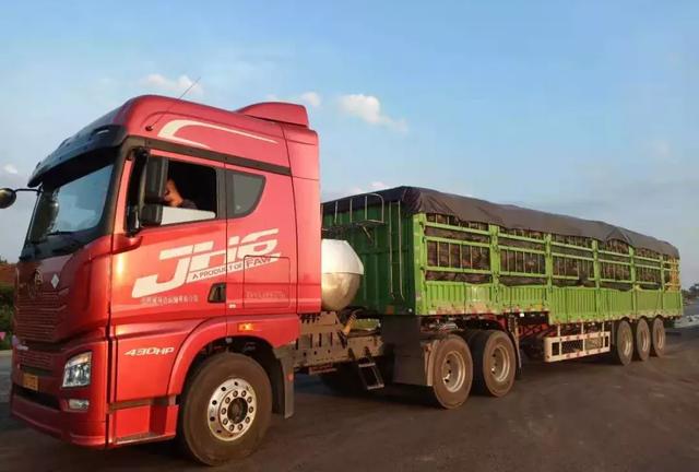 種南瓜竟然種出“麻煩”了，瓜販搶購(gòu)，電視臺(tái)記者也趕來了