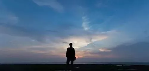 雇工難、成本高，想種甜瓜怎么辦？