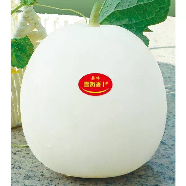 薄皮甜瓜，哪個(gè)品種最好呢？畝產(chǎn)高達(dá)10萬(wàn)，附4種市場(chǎng)爆款品種