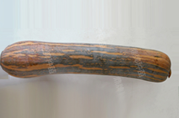 知道最甜最面的南瓜品種嗎？盤(pán)點(diǎn)十種有營(yíng)養(yǎng)的甜面南瓜...