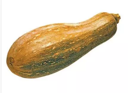 知道最甜最面的南瓜品種嗎？盤(pán)點(diǎn)十種有營(yíng)養(yǎng)的甜面南瓜...