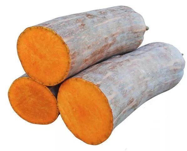 生吃都好吃南瓜新品種，沒有大肚子，肉質(zhì)更密致，農(nóng)戶試種下