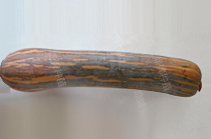 2020年，市面上的南瓜品種哪個(gè)口感最好、最甜、最值得種植？