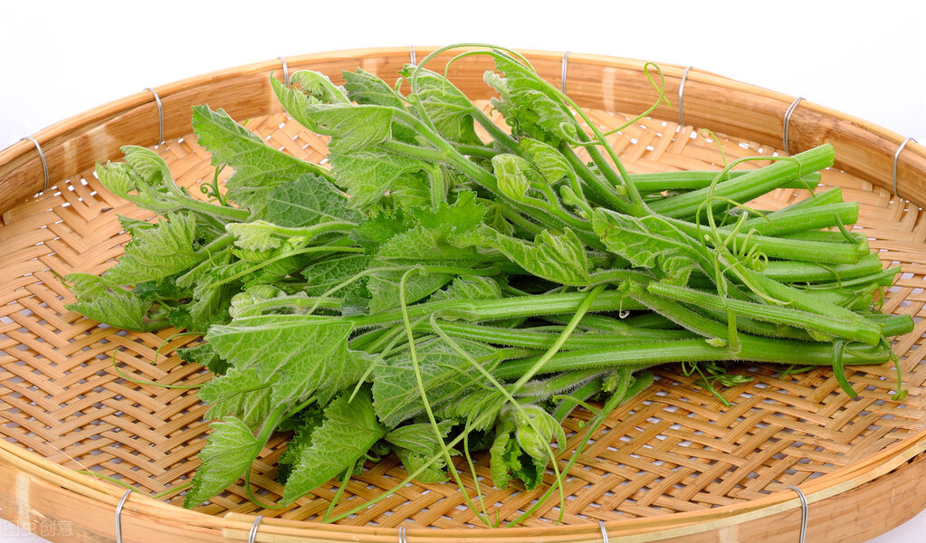 種這種綠葉菜，栽培輕松，畝產(chǎn)值過萬元，菜農(nóng)表示很劃算