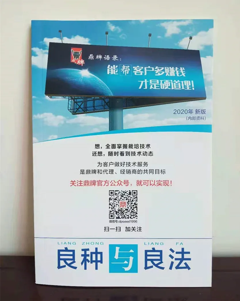 河南焦作的李向林今年種植甜瓜新品種，客戶直接拉貨走人