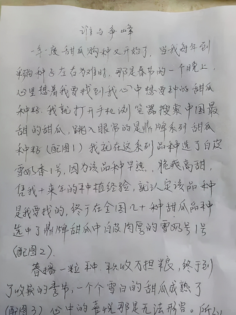 河南焦作的李向林今年種植甜瓜新品種，客戶直接拉貨走人