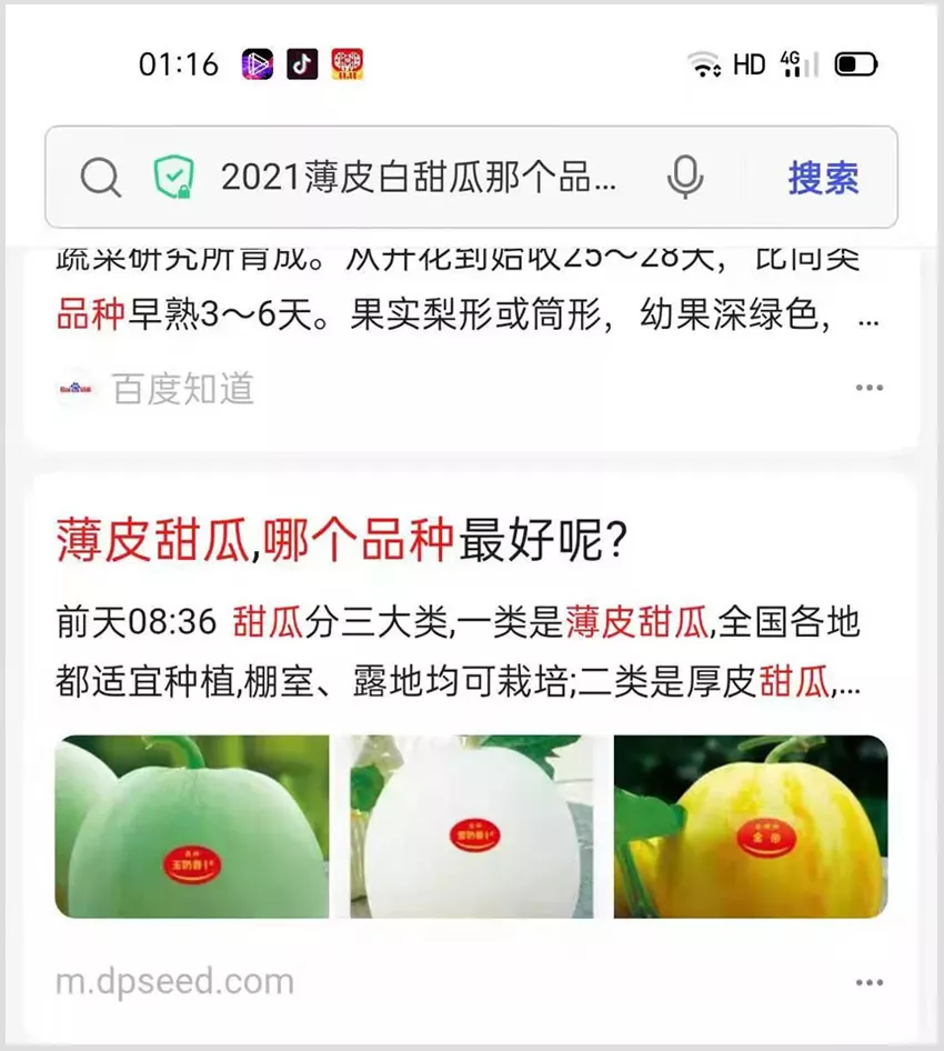 河南焦作的李向林今年種植甜瓜新品種，客戶直接拉貨走人