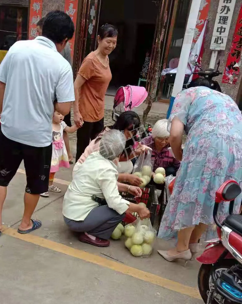 其他品種的甜瓜2塊1斤都賣不動，我的玉奶香2號甜瓜2塊5直接搶