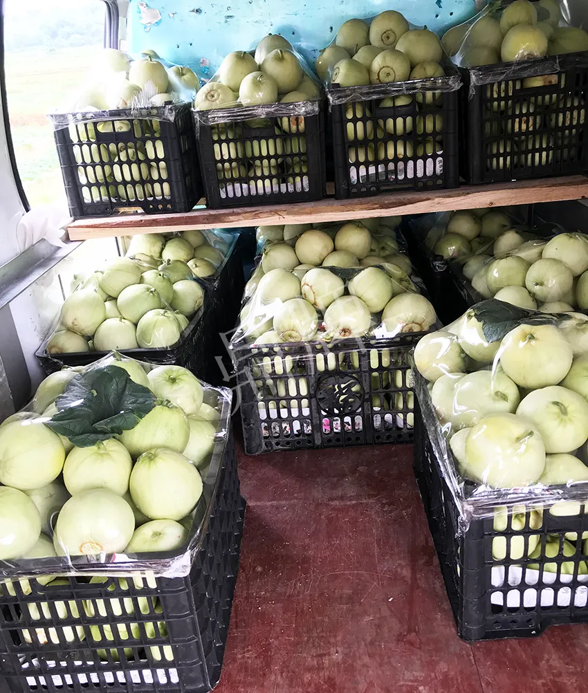 郴州農(nóng)戶種植新品種，果實(shí)又香又甜，很好賣