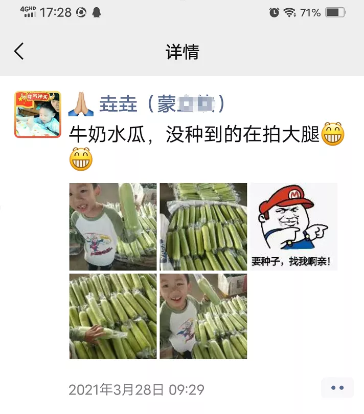 這個(gè)絲瓜每畝能掙3萬，沒種植的農(nóng)戶后悔得拍大腿