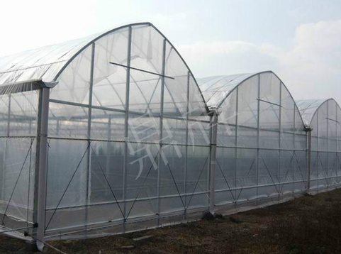 蔬菜種子種植戶客戶點評-鼎牌瓠瓜上市早，地頭批發(fā)價達到8元/斤，種植基地王老板告訴您！