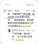 蔬菜種子種植戶客戶點評-“氣死白糖，甜過初戀”，您知道或體驗過這句話嗎